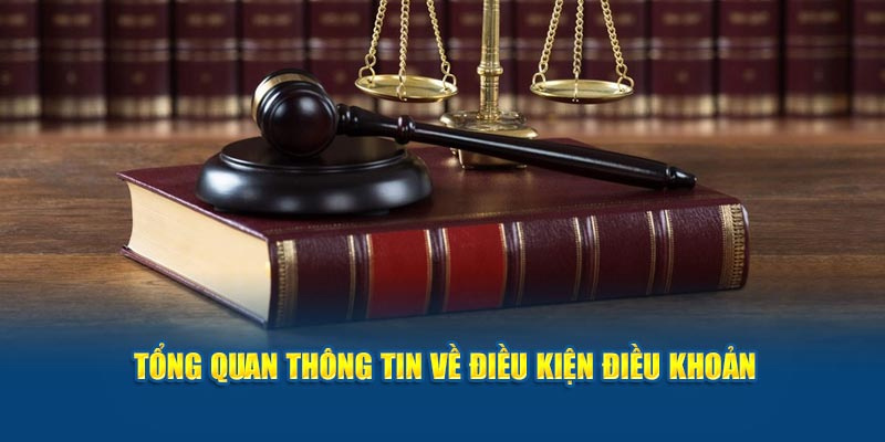 Thành viên cần đáp ứng đủ 18 tuổi khi gia nhập Kuwin